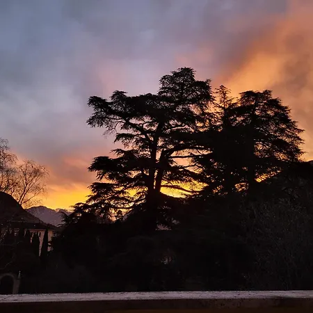 Giacomuzzi * Bolzano