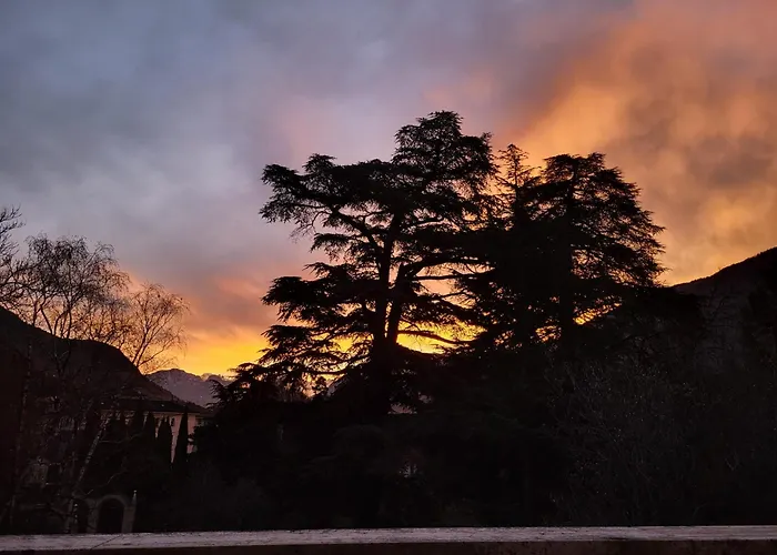 Giacomuzzi * Bolzano